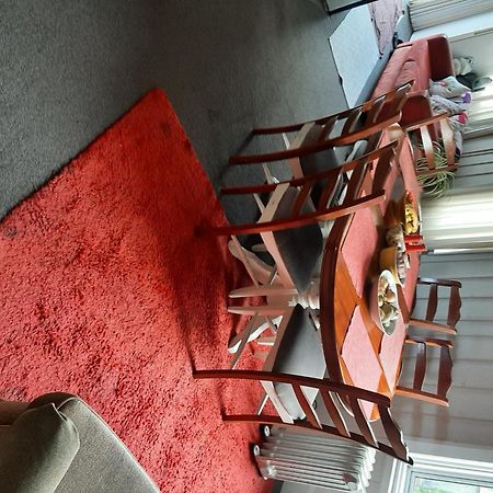 Intrepid Bed & Breakfast 크라이스트처치 외부 사진