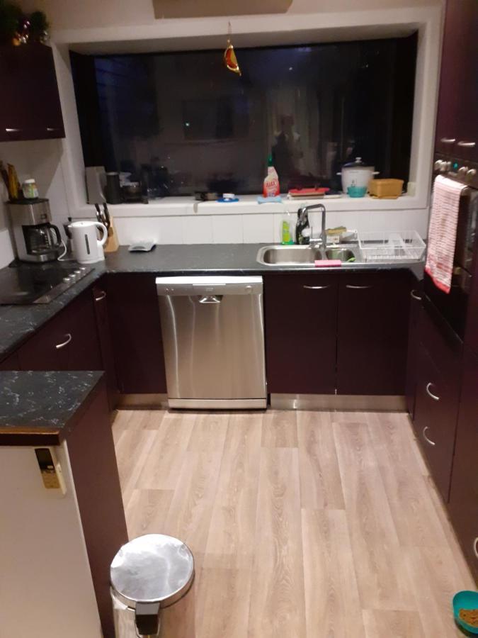 Intrepid Bed & Breakfast 크라이스트처치 외부 사진